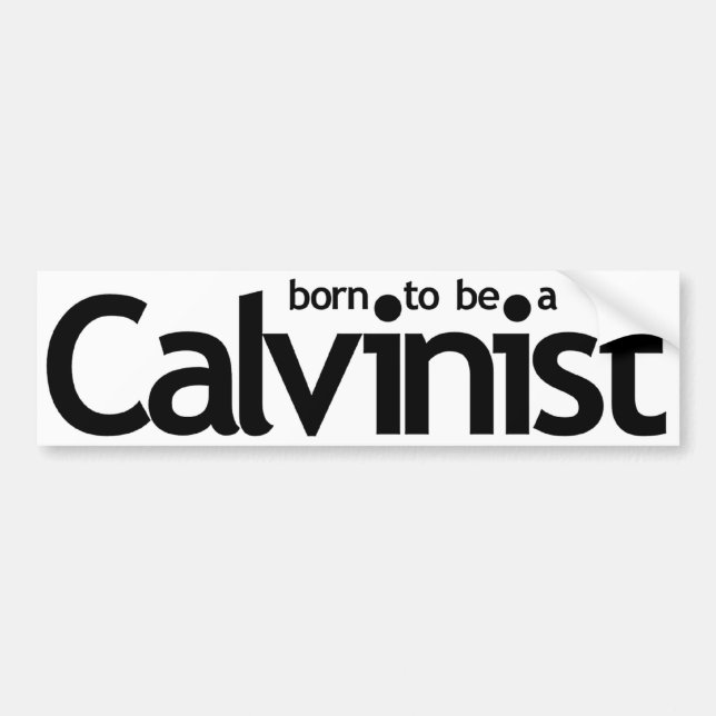 Born to be a Calvinist bumper sticker (Front)