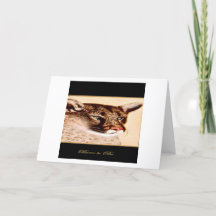 "BORN TO BE" BIRTHDAY CARD