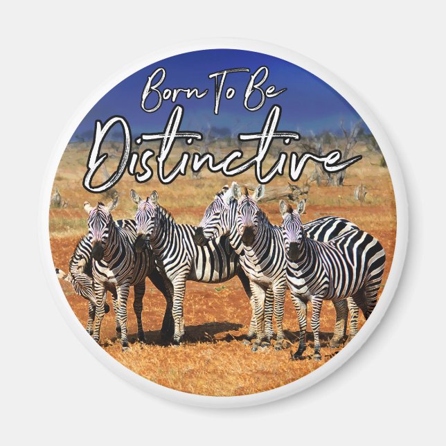 "Born To Be Distinctive" Zebra Art Magnet (Front)