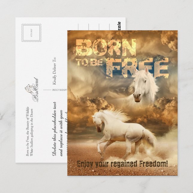 Born to be Free, Beauty of Wildlife: White Horse - Postcard (Front/Back)