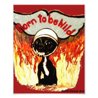 Born To Be Wild Chihuahua by Carol Zeock Photo Print