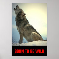 Born To Be Wild Motivational Wolf Howling Moon