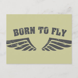 Born To Fly Wings Postcard