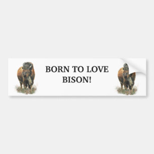 BORN TO LOVE BISON BUFFALO ANIMAL QUOTE ART BUMPER STICKER