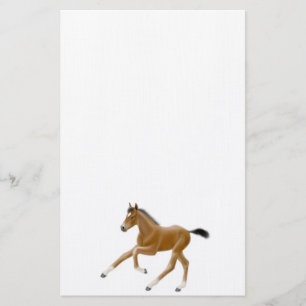 Born to Run Thoroughbred Foal Stationery