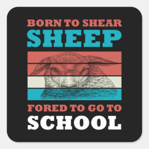 Born To Shear Sheep Forced To Go To School Goat Square Sticker