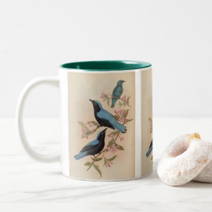 Bornean Fairy Bluebird by John Gould Two-Tone Coffee Mug