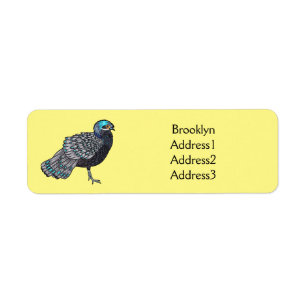 Bornean peacock-pheasant bird cartoon illustration