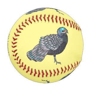 Bornean peacock-pheasant bird cartoon illustration baseball