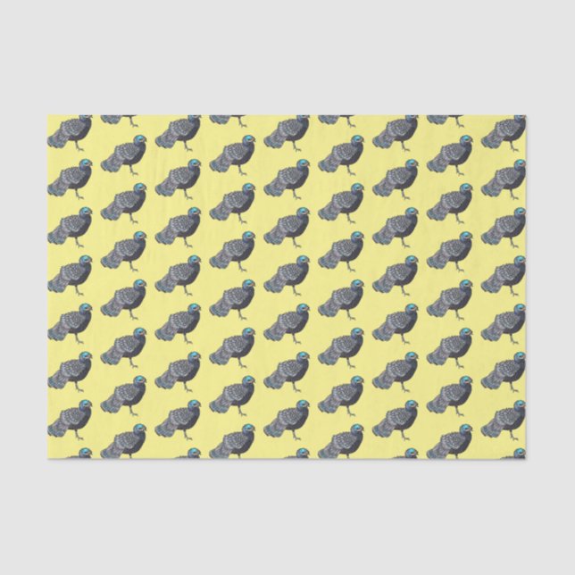 Bornean peacock-pheasant bird cartoon illustration tissue paper (Front)