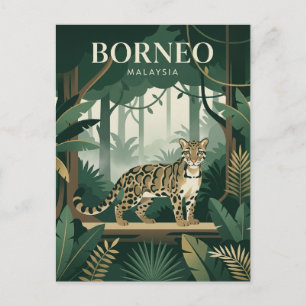 Borneo Malaysia Postcard