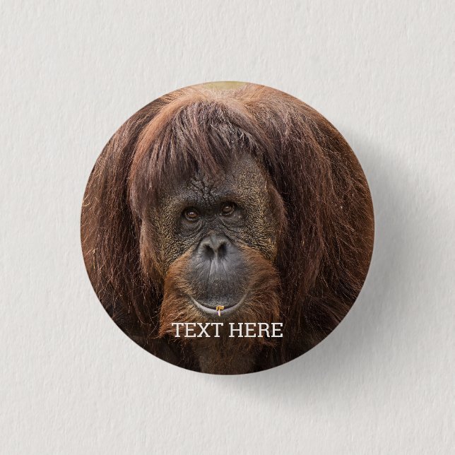 Borneo Orangutan Beautiful Photography 3 Cm Round Badge (Front)