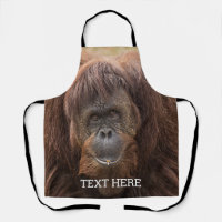 Borneo Orangutan Beautiful Photography