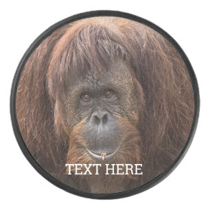 Borneo Orangutan Beautiful Photography Hockey Puck