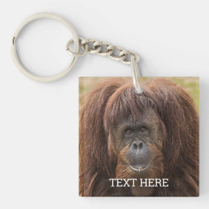 Borneo Orangutan Beautiful Photography Key Ring
