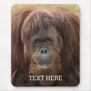 Borneo Orangutan Beautiful Photography Mouse Mat