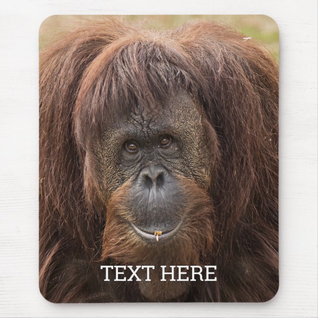 Borneo Orangutan Beautiful Photography Mouse Mat (Front)