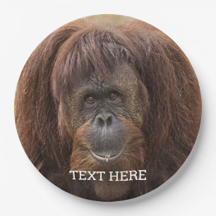 Borneo Orangutan Beautiful Photography Paper Plate