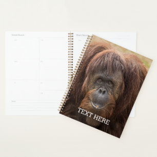 Borneo Orangutan Beautiful Photography Planner