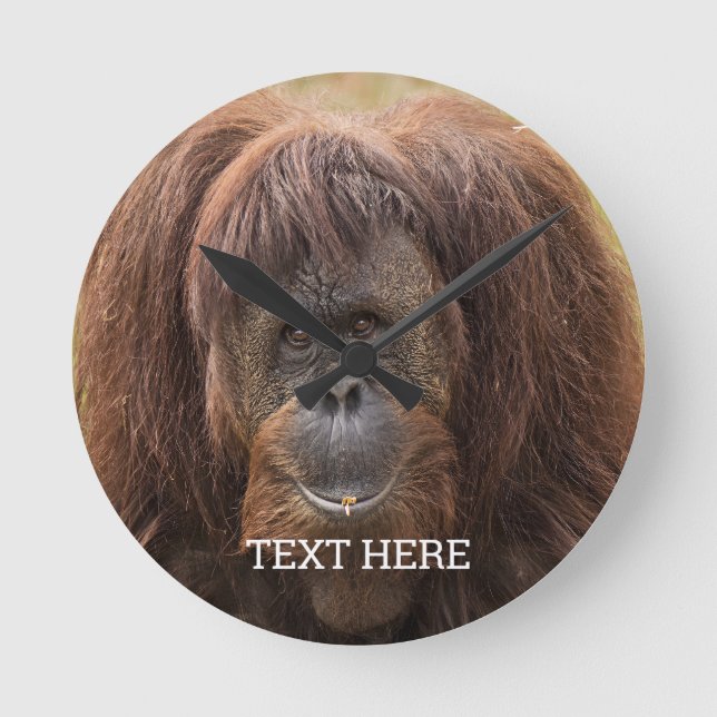 Borneo Orangutan Beautiful Photography Round Clock (Front)