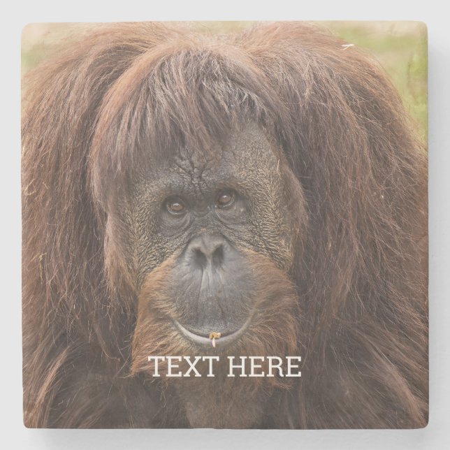 Borneo Orangutan Beautiful Photography Stone Coaster (Front)
