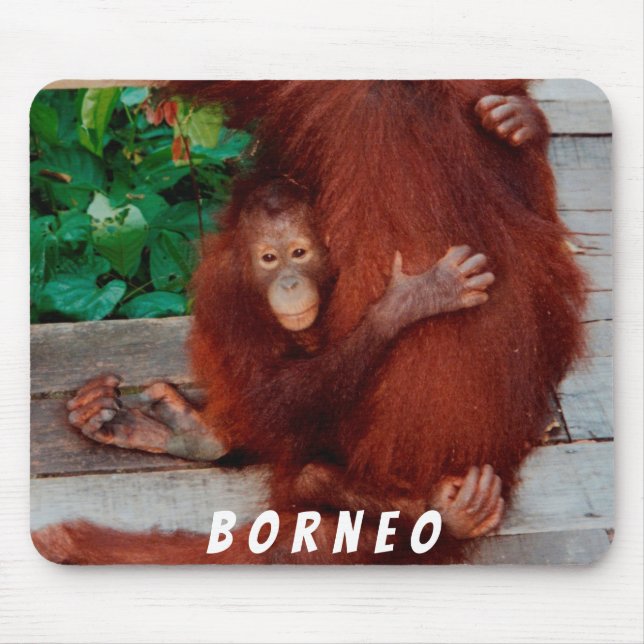 Borneo orangutan mouse mat (Front)
