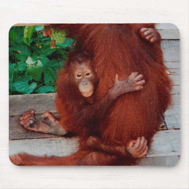 Borneo orangutan mouse mat (Front)
