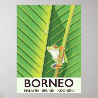 Borneo Poison frog travel poster