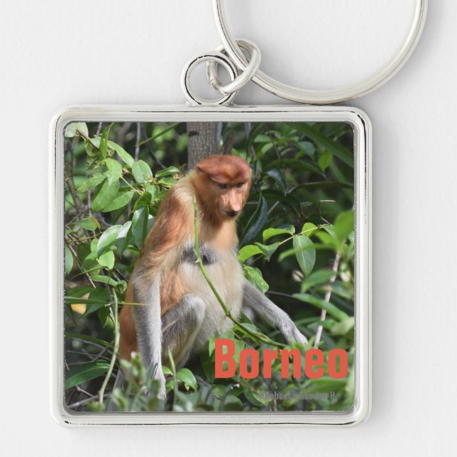 Borneo Proboscis Monkey Keychain (Front)