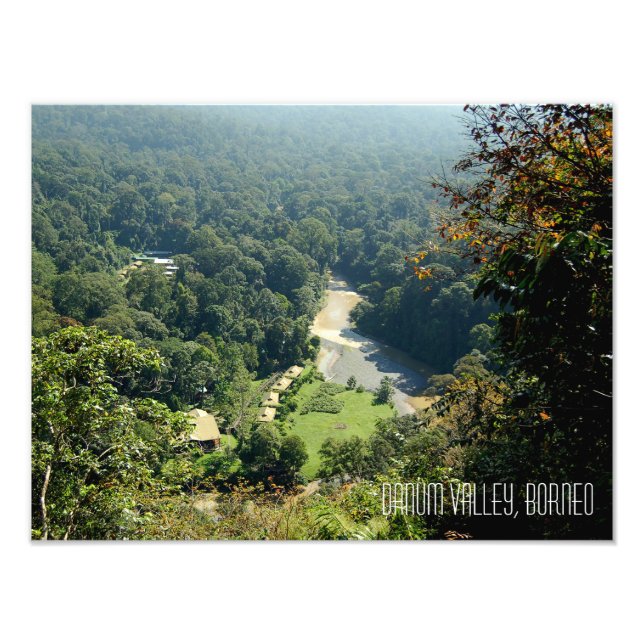 Borneo Rainforest Jungle Danum Valley Photograph (Front)