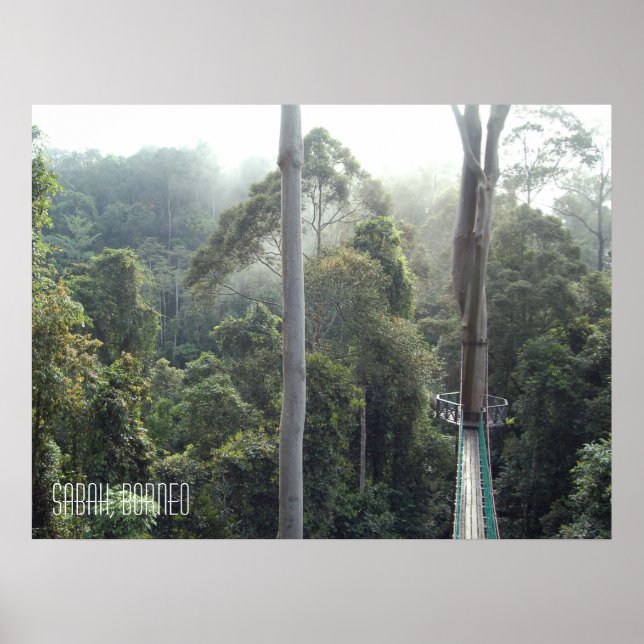 Borneo Rainforest Jungle Treetops Walkway Sabah Poster (Front)