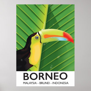 Borneo Toucan travel poster