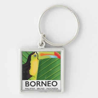 Borneo Toucan travel poster Key Ring