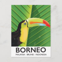 Borneo Toucan travel poster