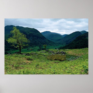 Borrowdale from High Doat, Cumbria at the Cornish Poster