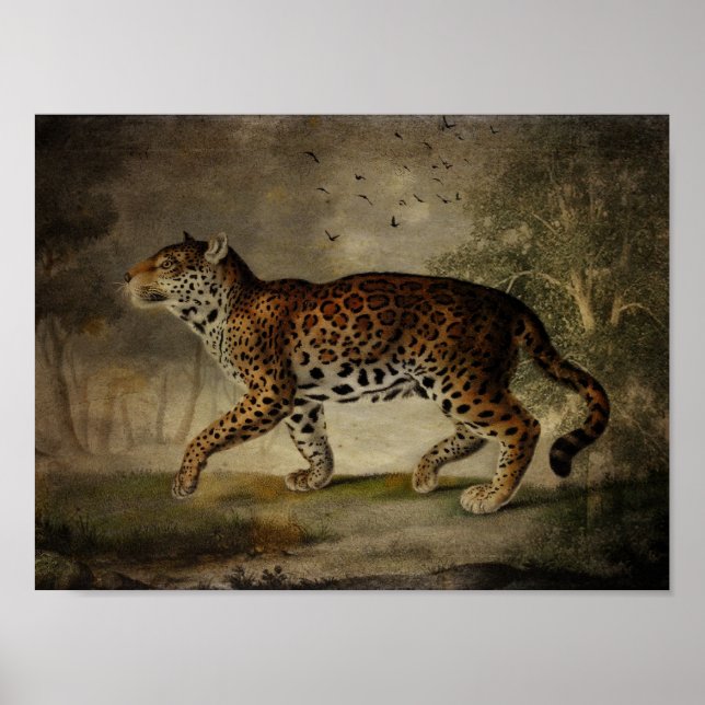 Borrowed from the Rose Tree Poster (Front)