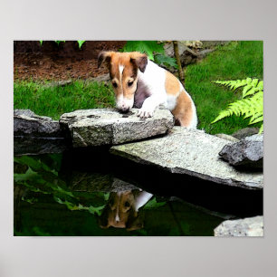 BORZOI ART PRINT
