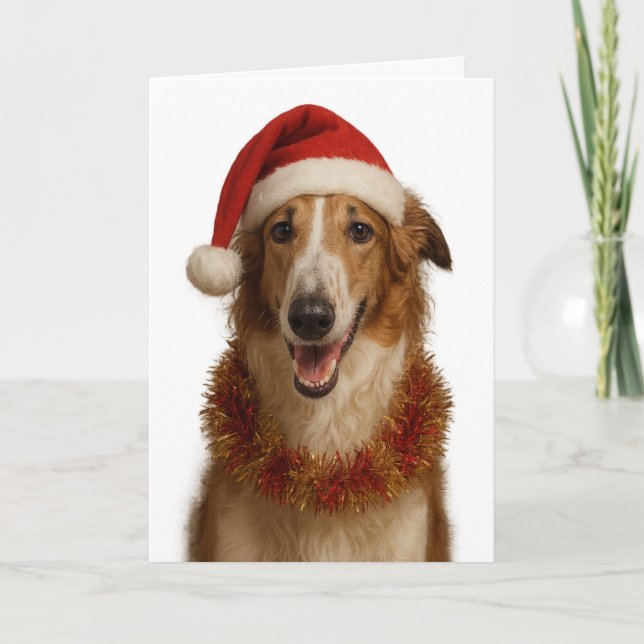 Borzoi (brown and white)  Santa hat Christmas card (Front)