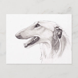 Borzoi Dog Art Ink Head Profile Postcard