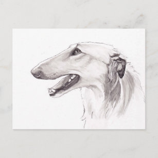 Borzoi Dog Art Ink Head Profile Postcard