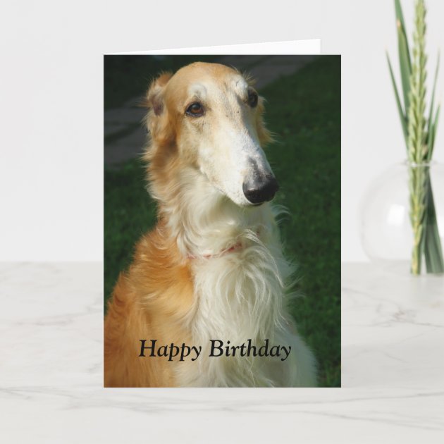 Borzoi Dog Beautiful Photo Happy Birthday Card Zazzle Co Uk