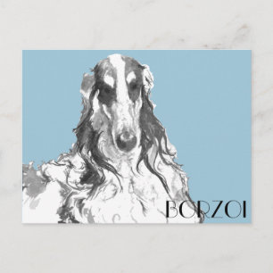Borzoi Portrait Postcard