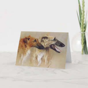 Borzoi Profile Card