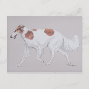 Borzoi Russia Wolfhound Canine Dog Art Postcard