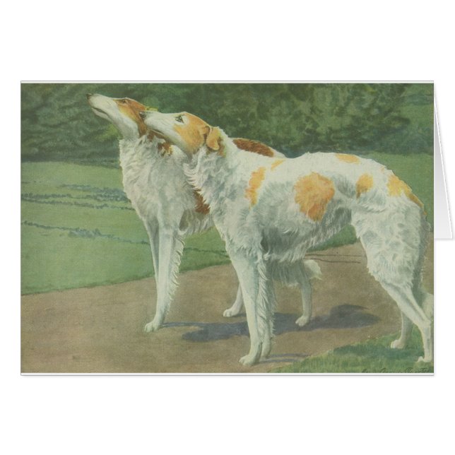 Borzoi (Russian Wolfhound) (Front Horizontal)