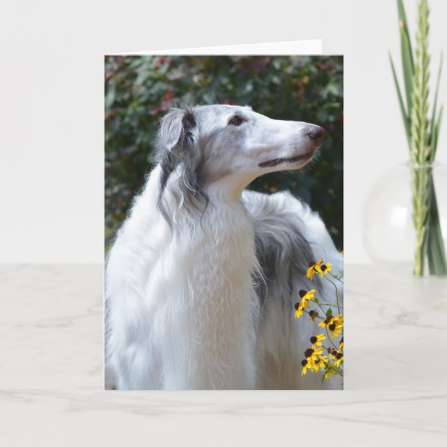 Borzoi Russian Wolfhound Dog Art Photo Card (Front)