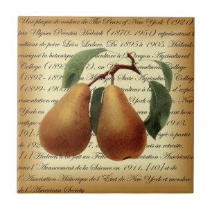 Bosc Pears~Léon Leclerc~Ulysses Prentiss Hedrick~  Tile
