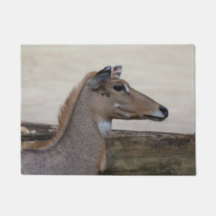 Boselaphus tragocamelus doormat