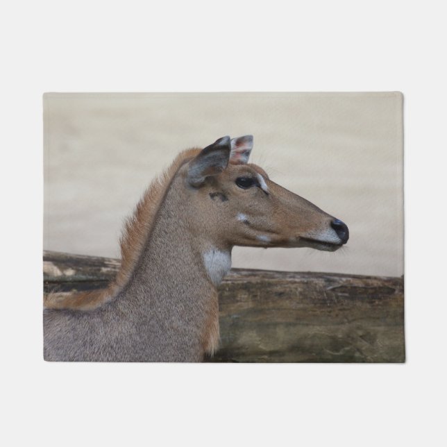 Boselaphus tragocamelus doormat (Front)