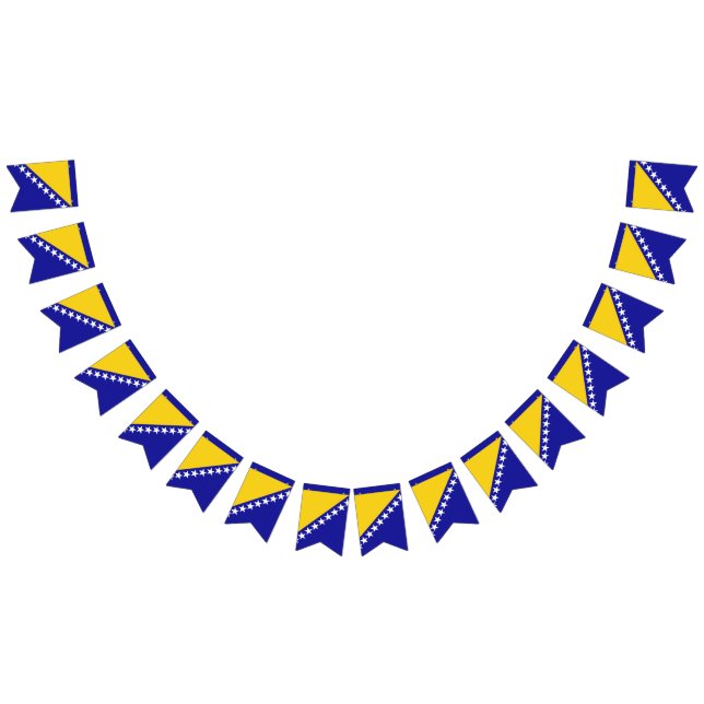 Bosnia and Herzegovina flag bunting banner (All)
